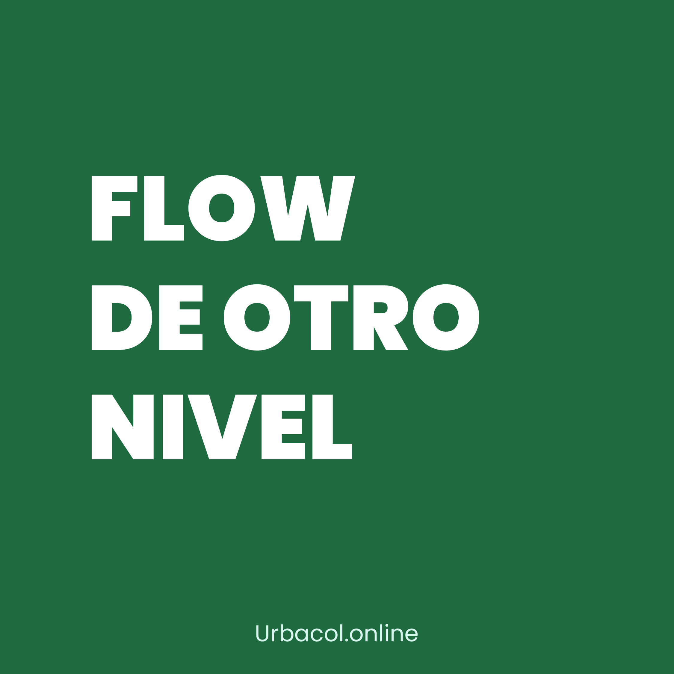 Camisetas Oversized Urbanas en Colombia.